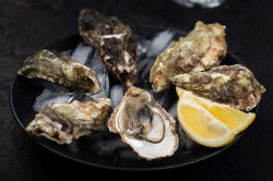 Bar à Huîtres à Trouville-sur-Mer